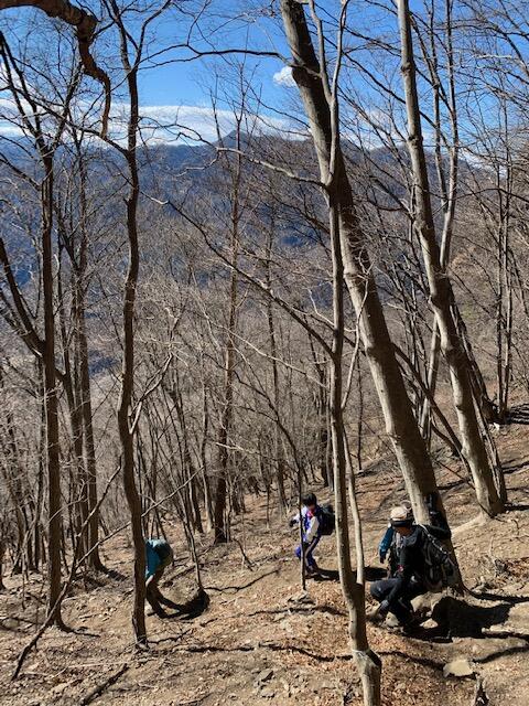 鹿岳の岩峰登頂をあきらめひたすら下る