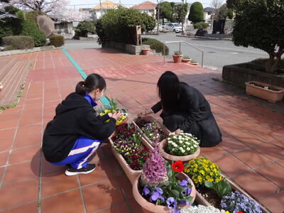 早春の作業中